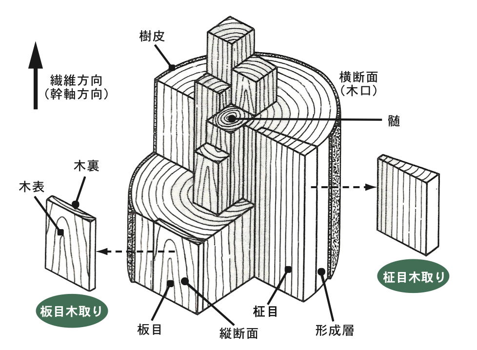 オーダー家具 木材の基礎知識 その３ 木材の各部の名称 松葉屋家具店 公式ブログ