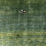 ゾランヴァリ・アートギャッベ 『大地と空、火と草色のじゅうたん展』開催中です。