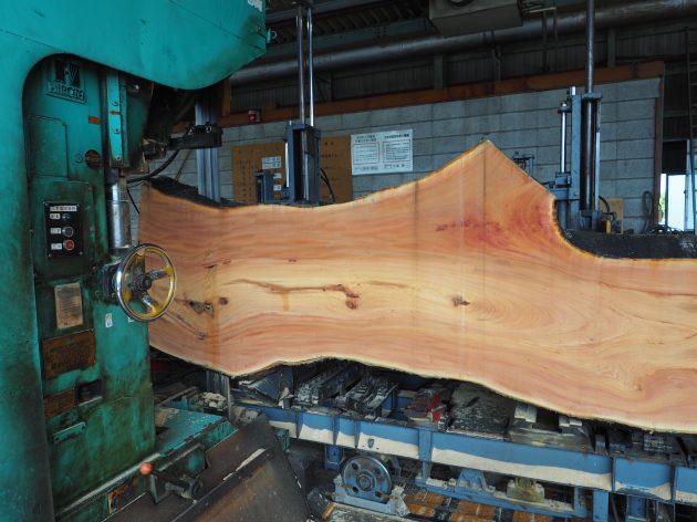 欅の巨木　製材