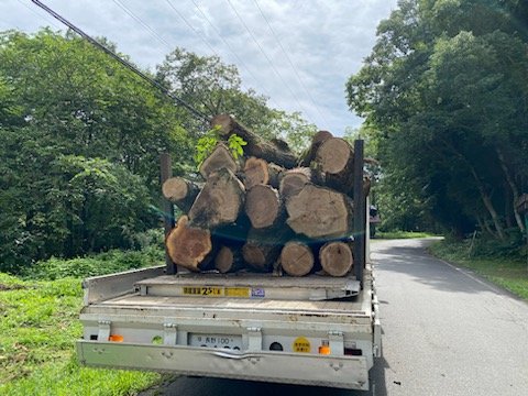 丸太を積んで山を下りるトラック