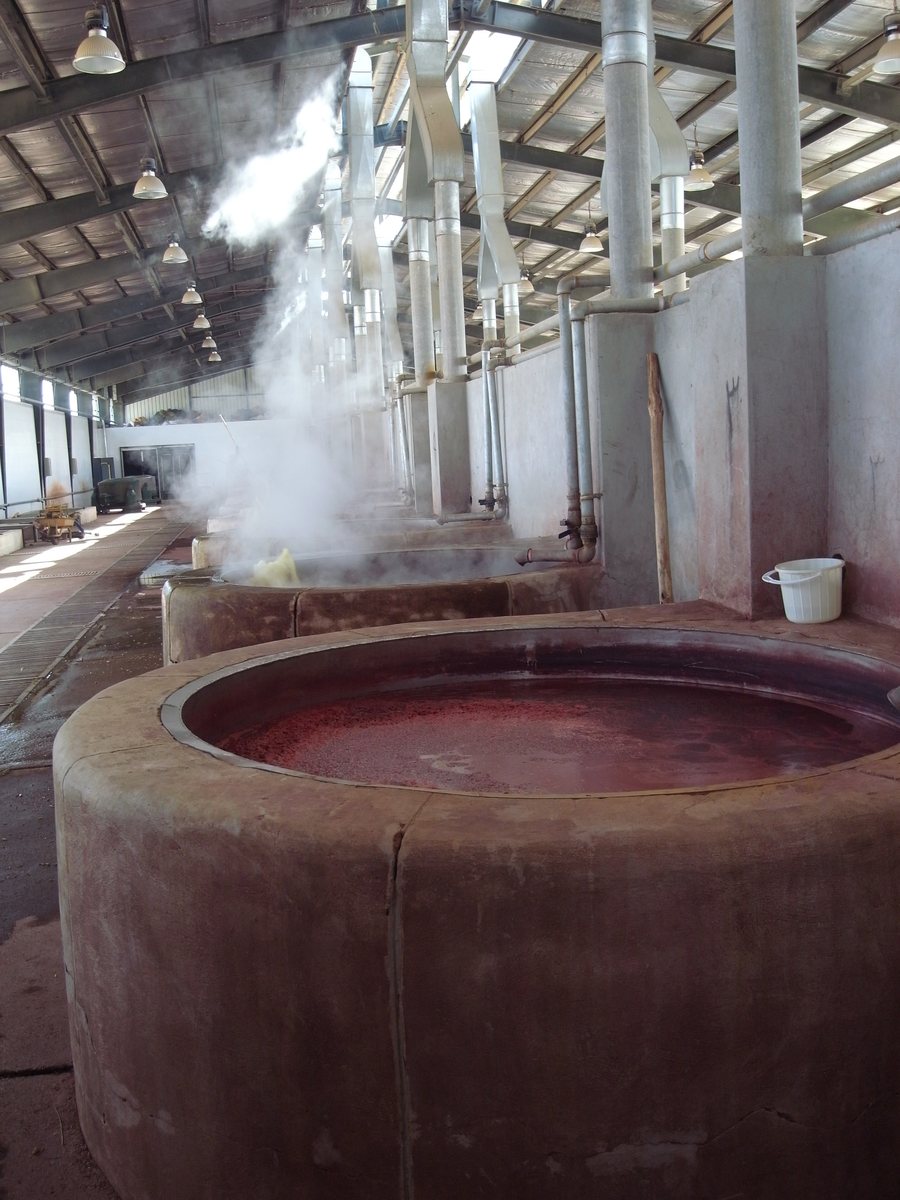 染め工場の丸い大釜。赤く染まった湯から湯気が上がっている
