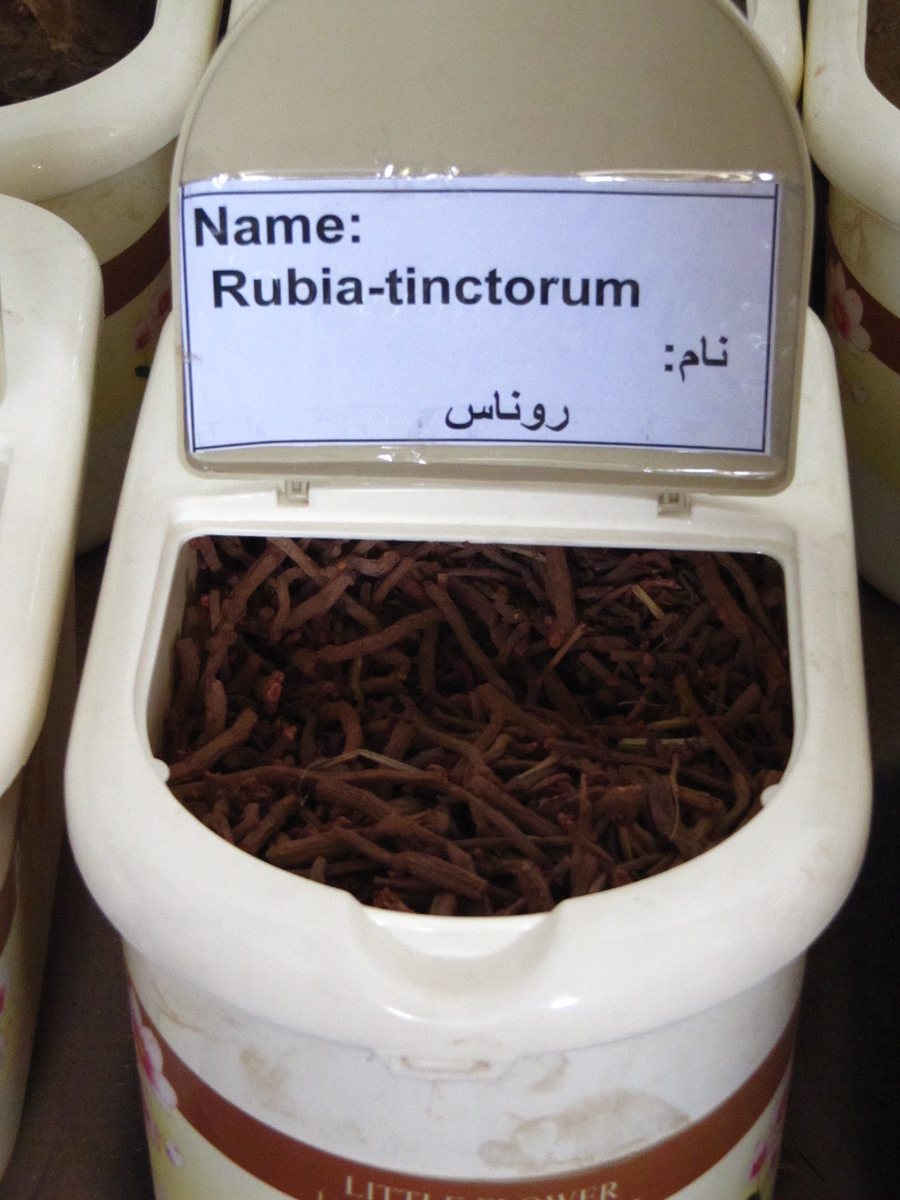 「Rubia-tinctorum」と書かれた容器に入った、茜の根